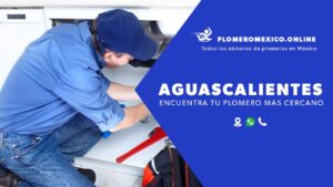 Plomero en aguascalientes