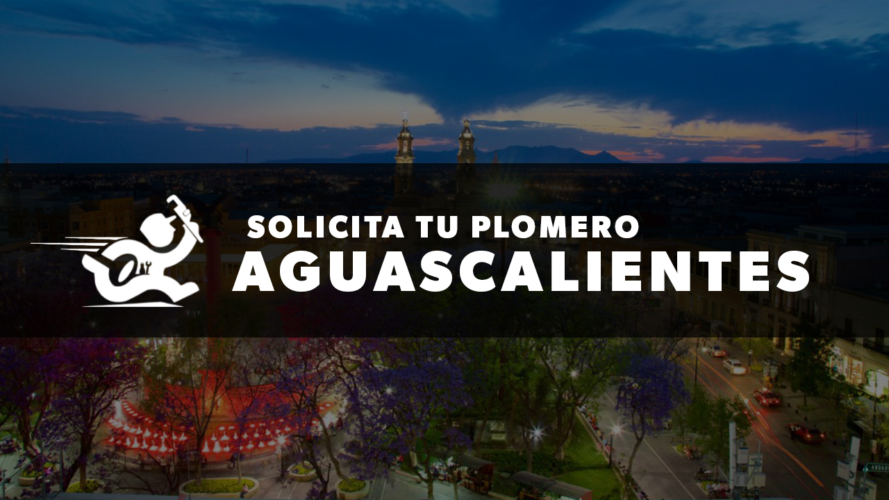 Plomero aguascalientes