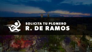 Plomero en RINCON-DE-RAMOS